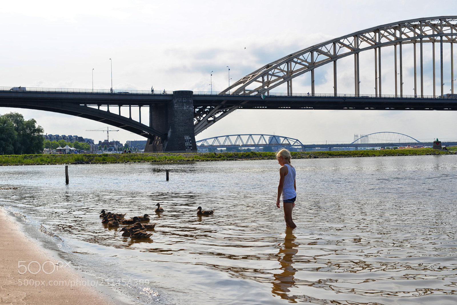 Nikon D610 sample photo. Playing with ducks photography
