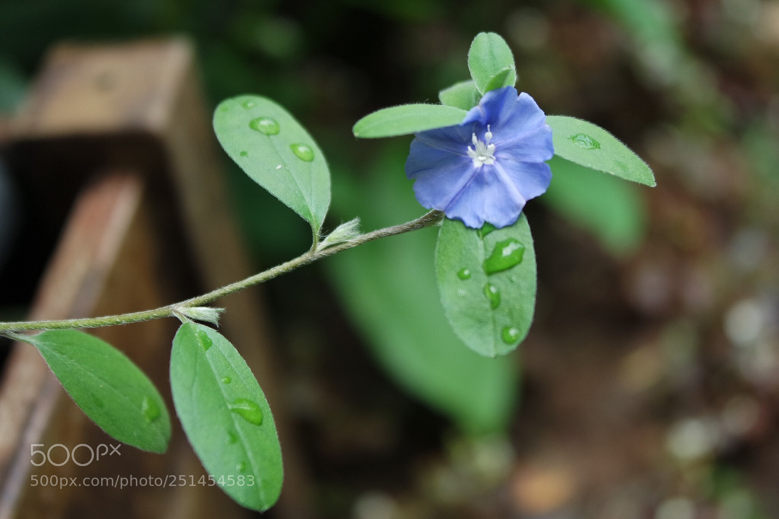 Samsung NX3000 sample photo. Untitled photography