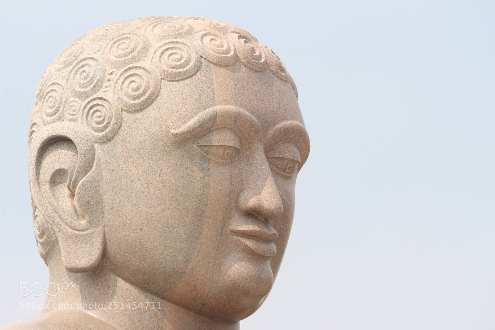 Canon EF-S 55-250mm F4-5.6 IS II sample photo. Bhudda photography