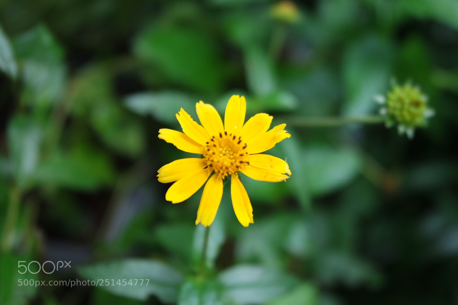 Samsung NX3000 sample photo. Untitled photography