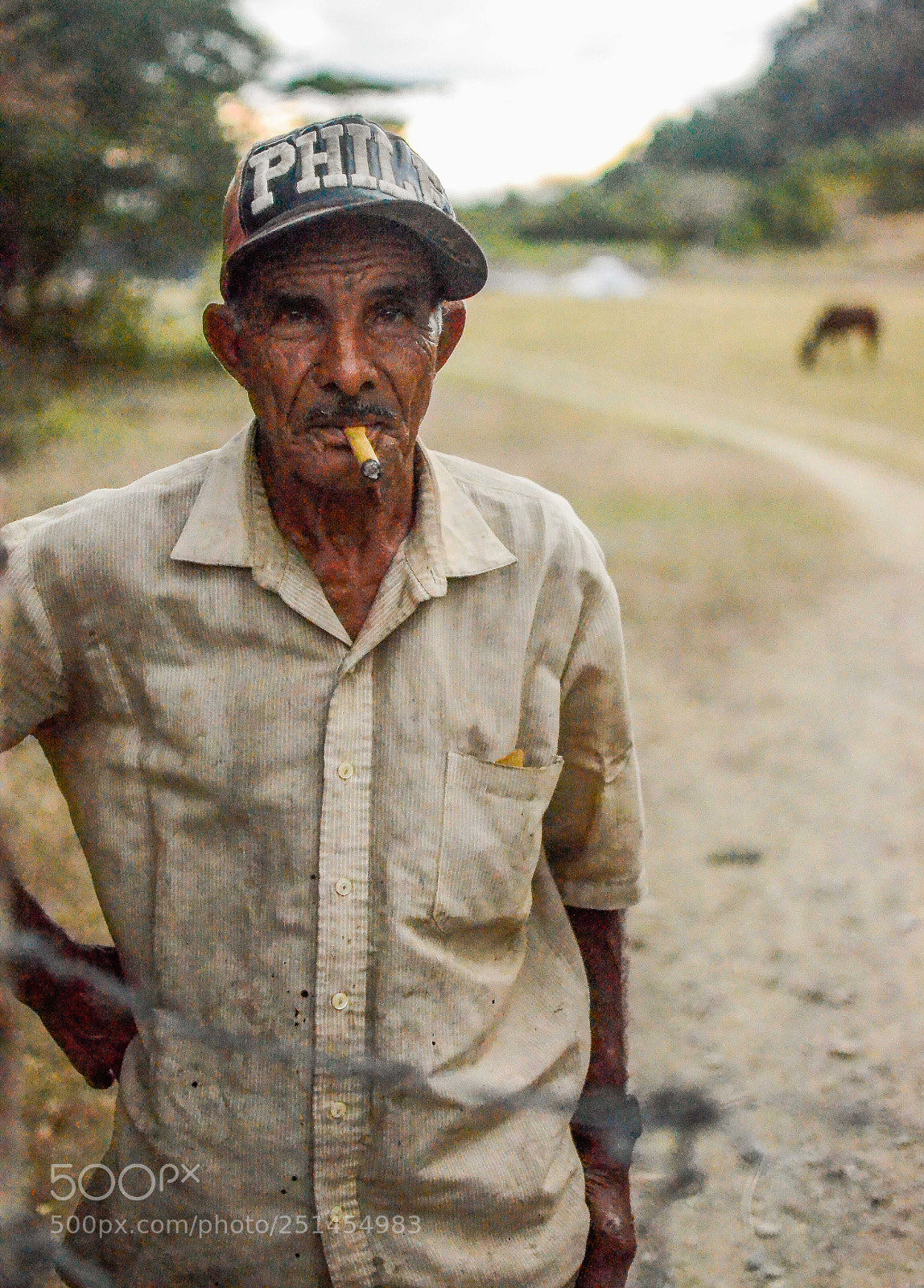Nikon D7000 sample photo. Odulio and the horse photography