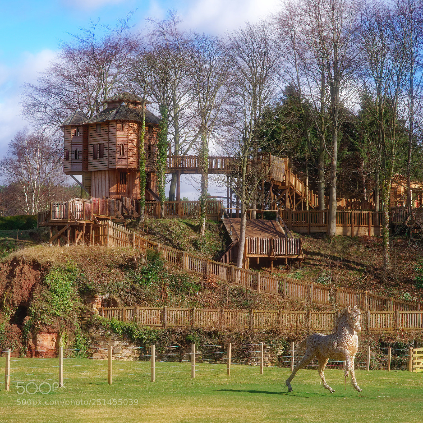 Pentax K-1 sample photo. Day out in dalkeith photography