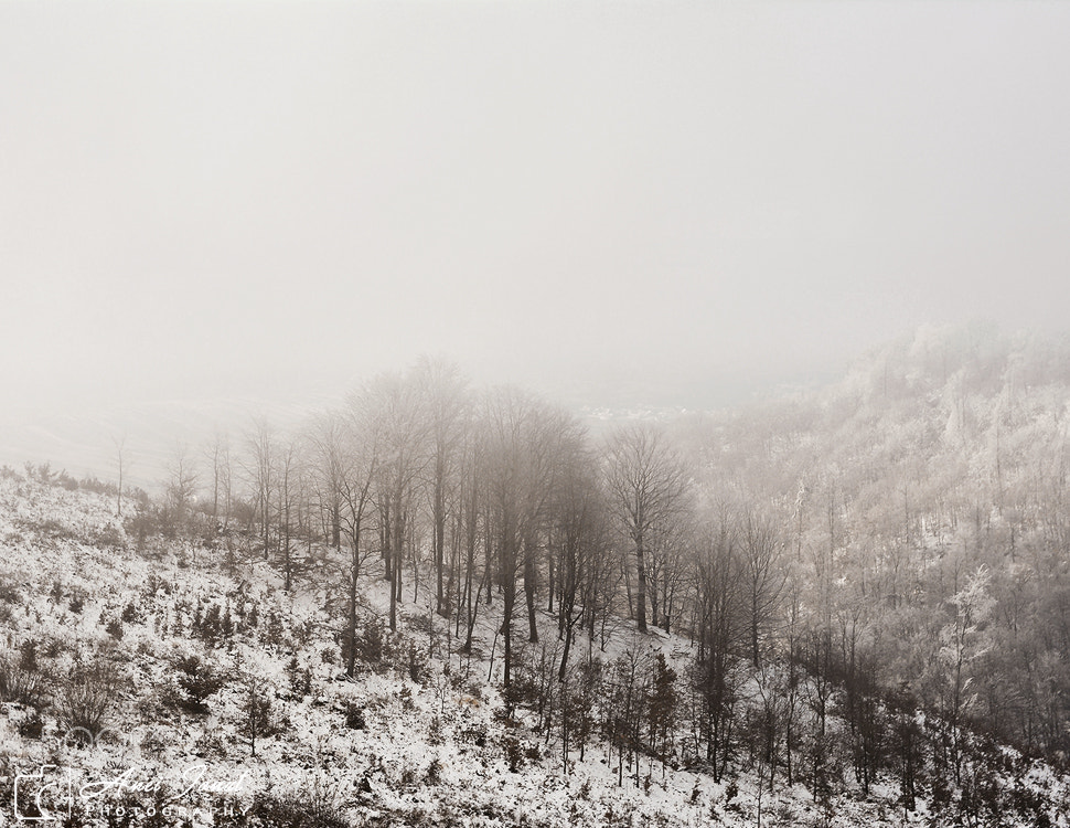 Nikon D7100 sample photo. Winter morning photography