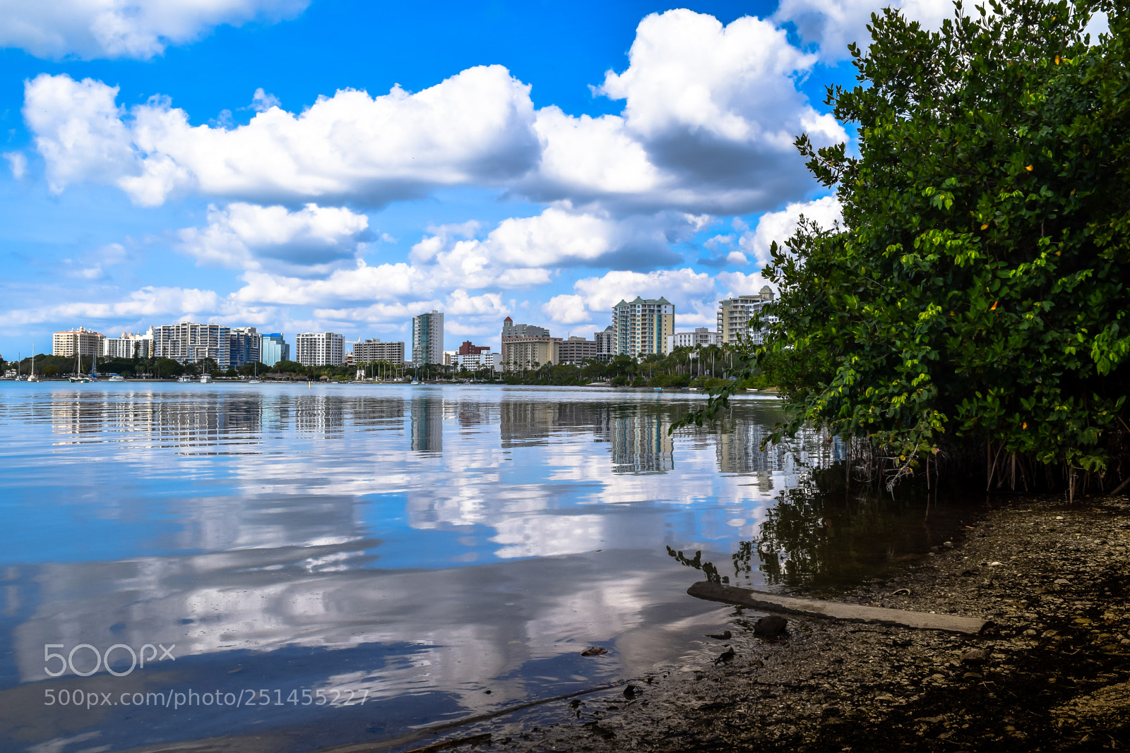 Nikon D3300 sample photo. Bay view photography