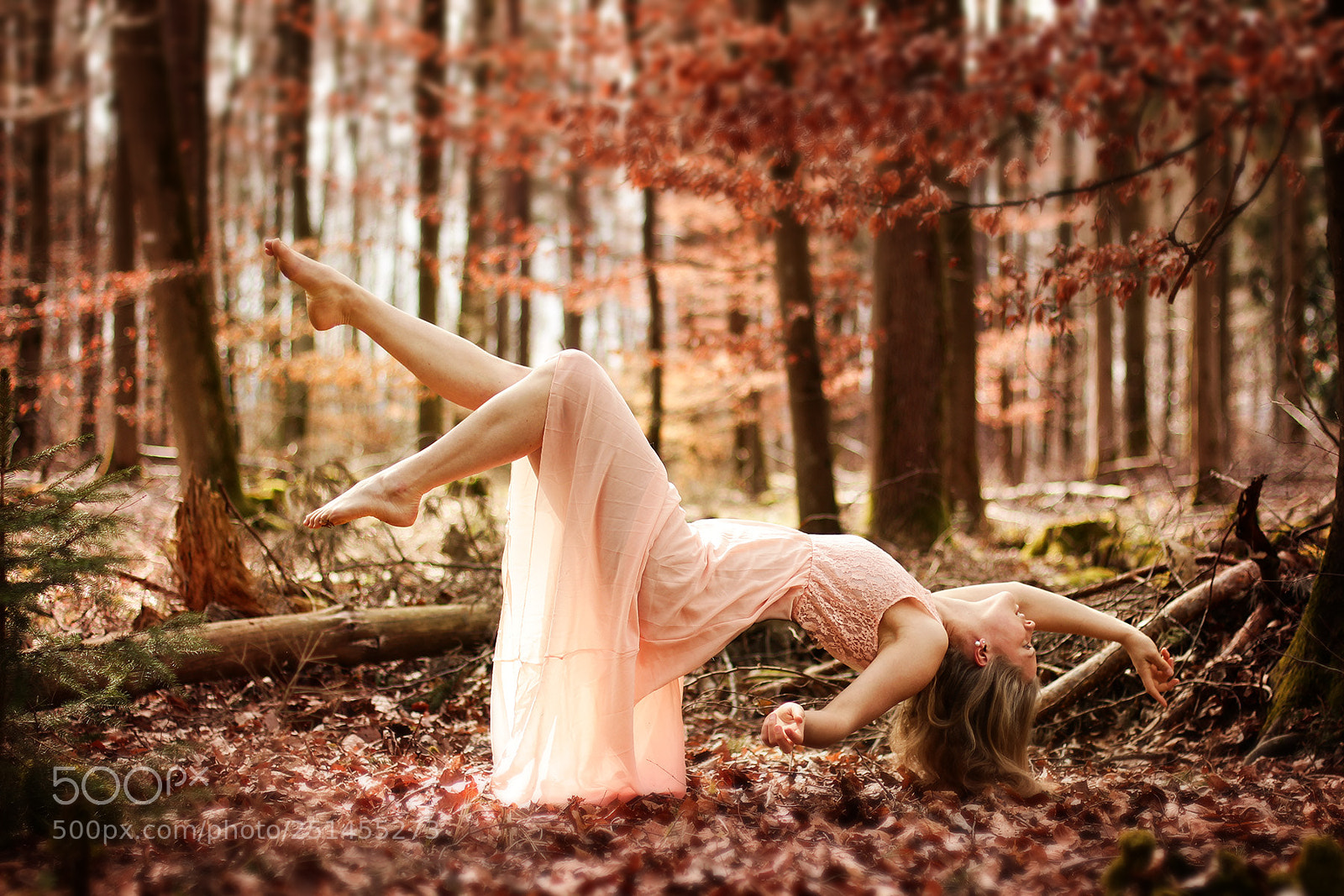 Canon EOS 600D (Rebel EOS T3i / EOS Kiss X5) sample photo. Levitation in the forrest photography