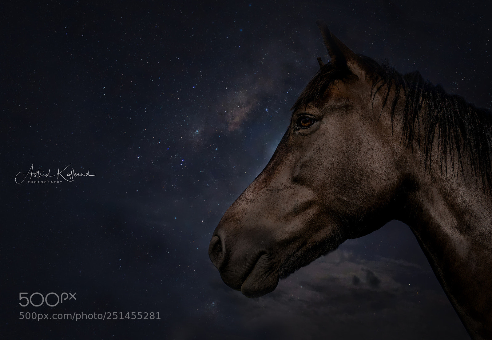 Nikon D7000 sample photo. A starry night photography