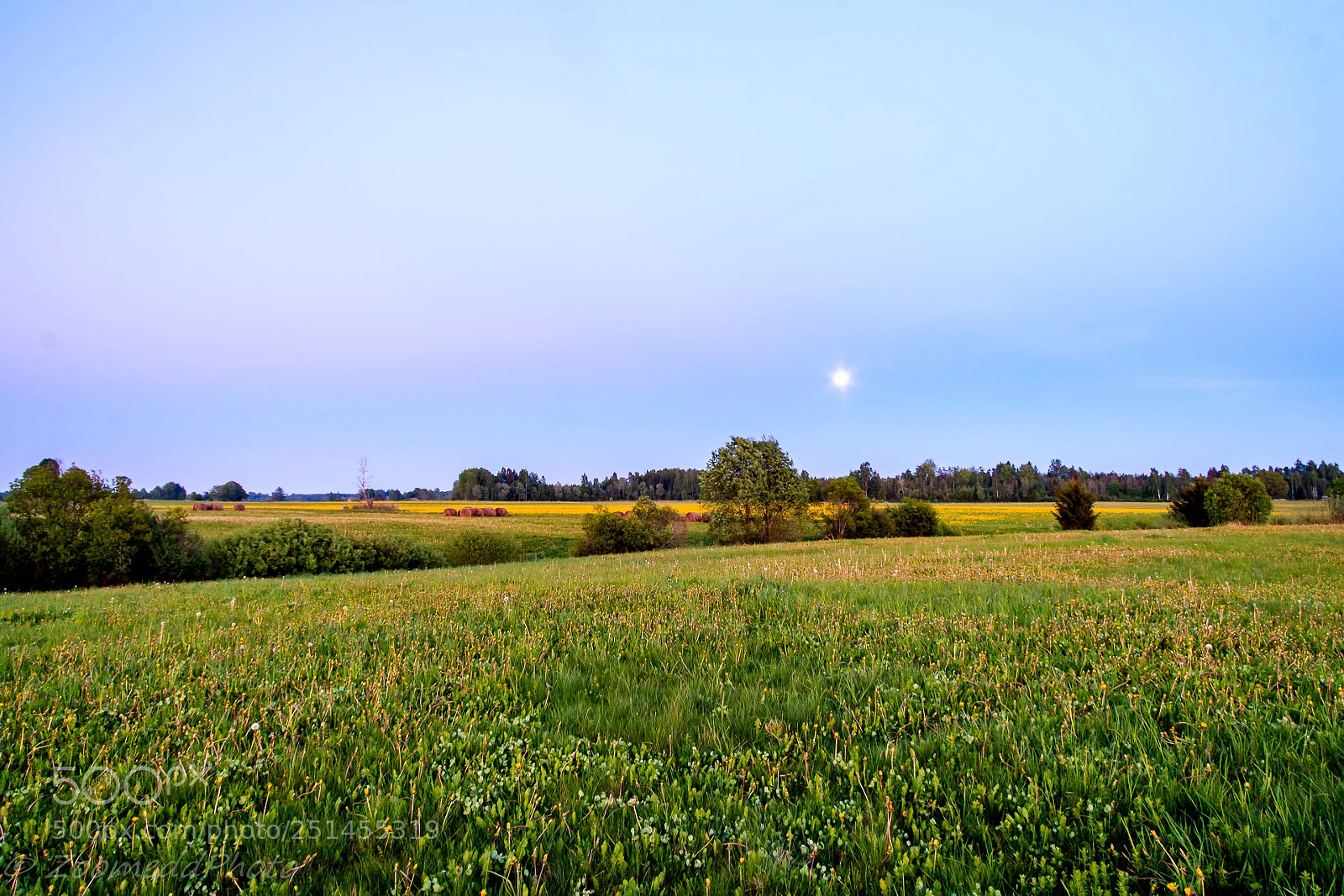 Canon EOS 70D sample photo. Moonlighted. photography
