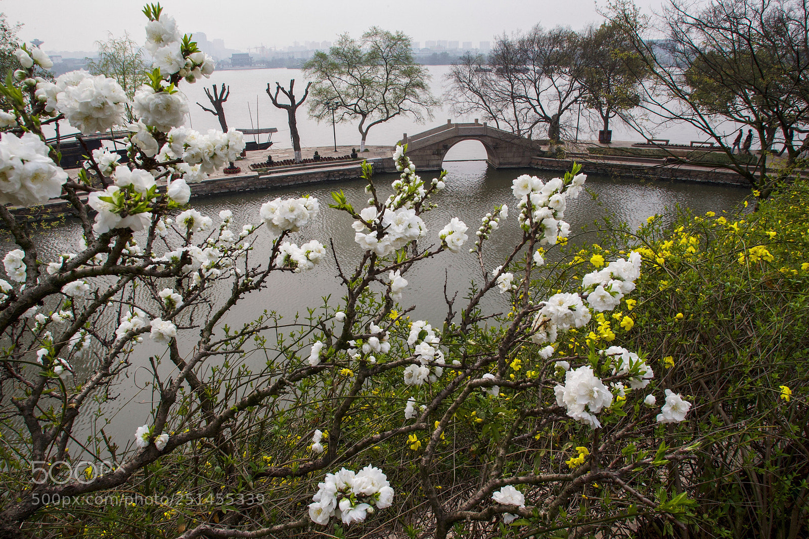 Canon EOS-1D Mark III sample photo. Untitled photography