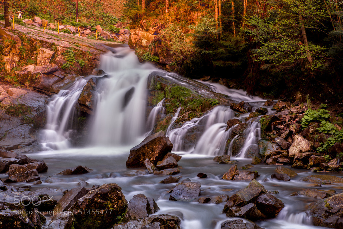 Canon EOS 5D Mark II sample photo. Still waters run deep photography