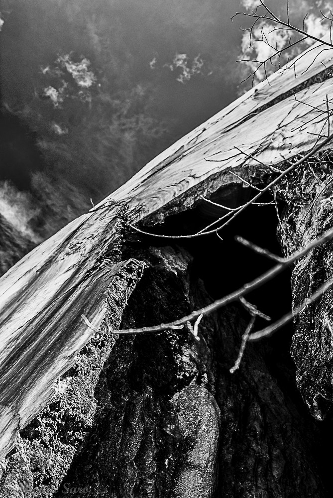 Sony Alpha DSLR-A330 sample photo. Dolomita photography