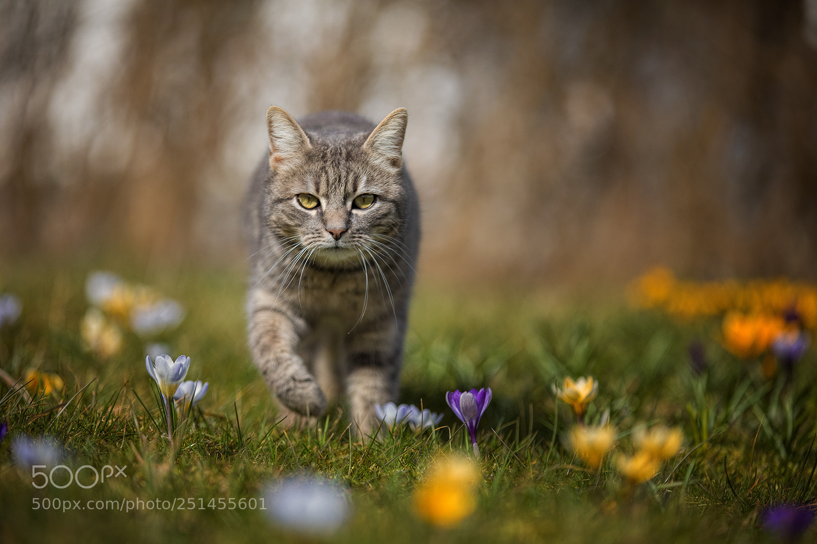 Canon EOS 5D Mark IV sample photo. Einfach uschi photography