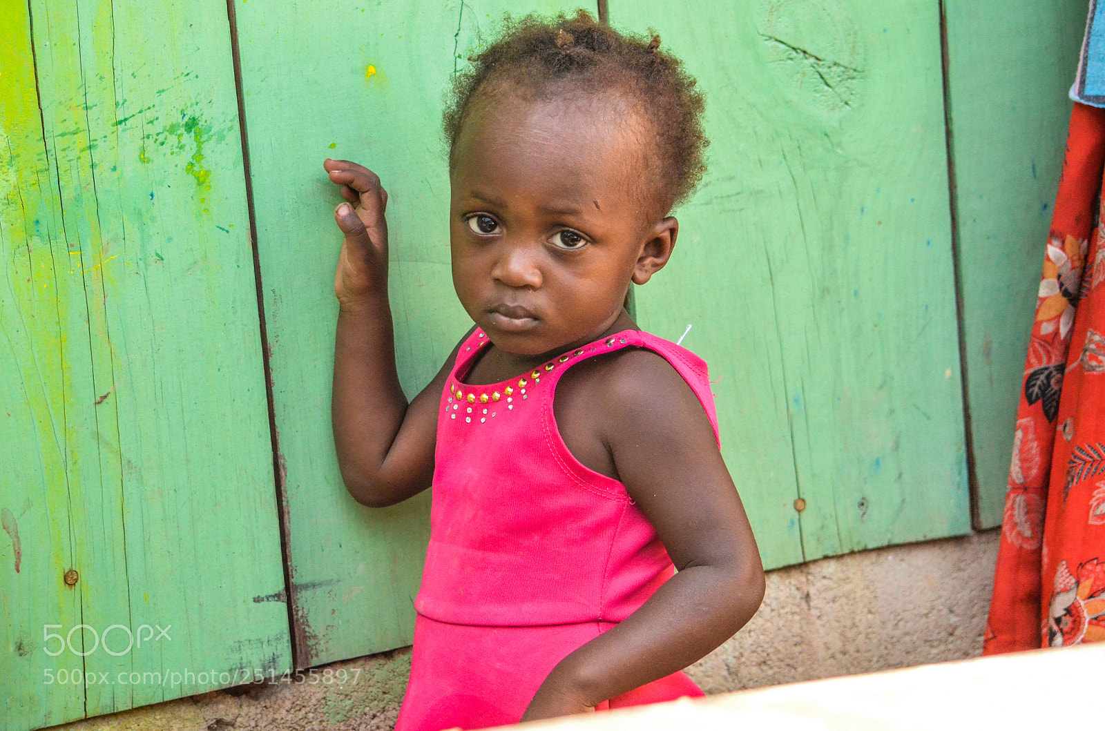 Nikon D7000 sample photo. The girl in the photography