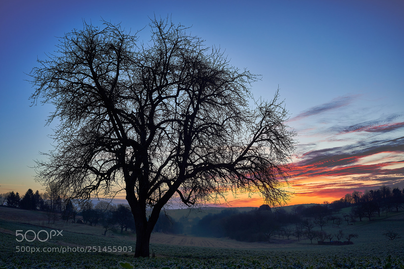 Sony a7R III sample photo. Easter sunrise photography