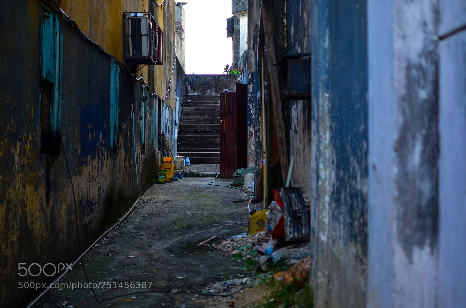 Nikon D7000 sample photo. The alley photography