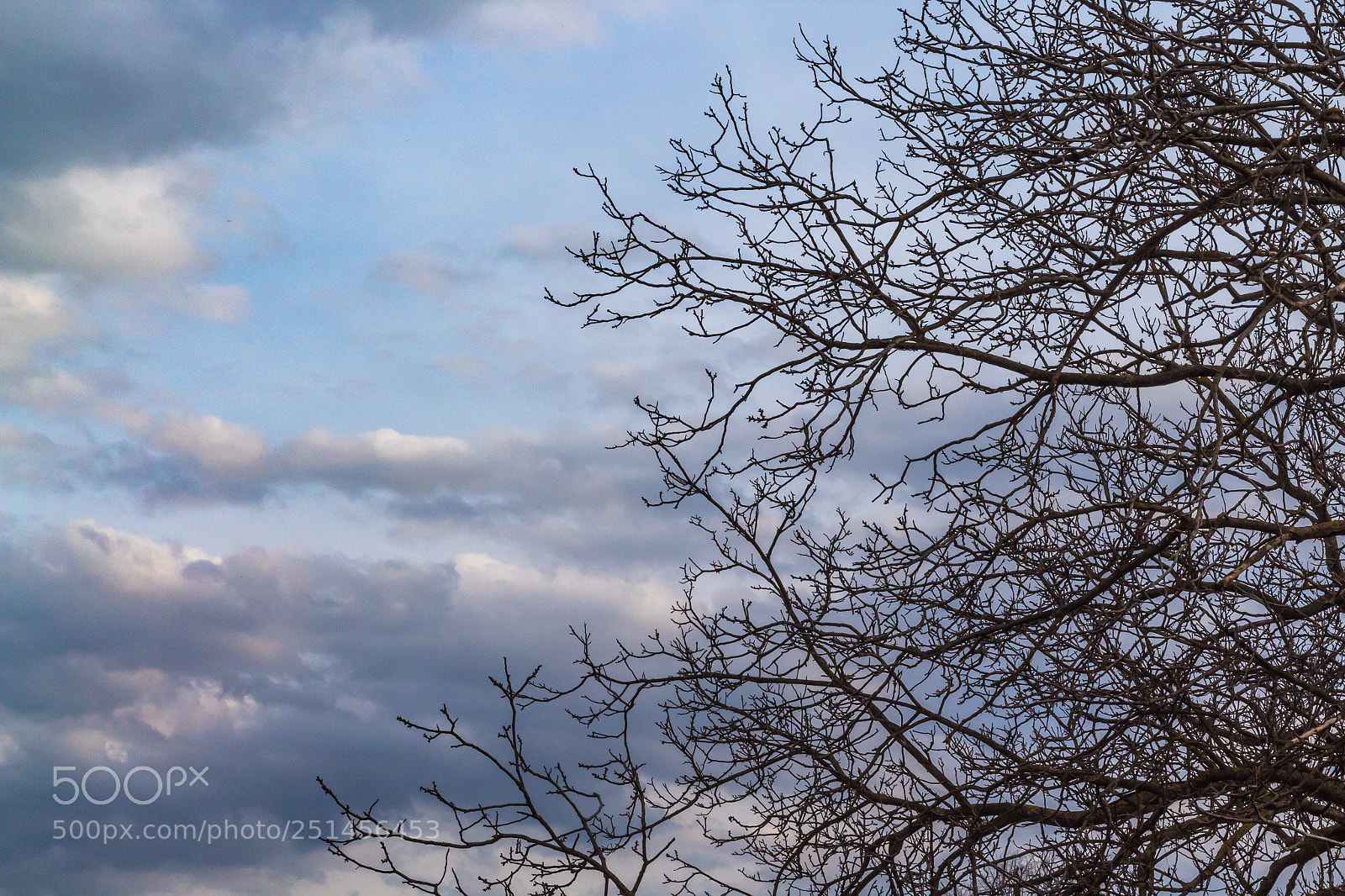 Canon EOS 1300D (EOS Rebel T6 / EOS Kiss X80) sample photo. Afternoon sky photography
