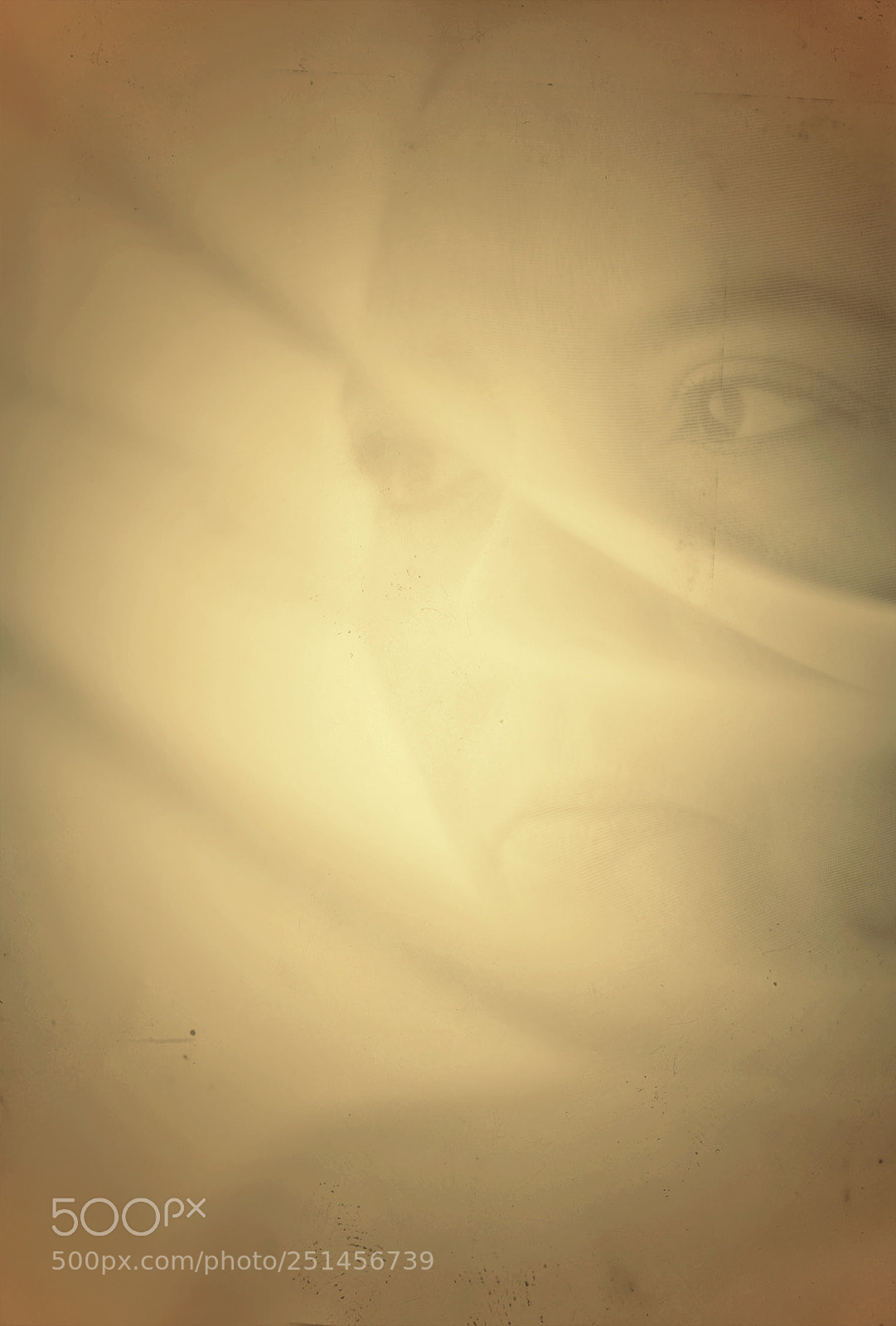 Nikon D500 sample photo. Silence  photography