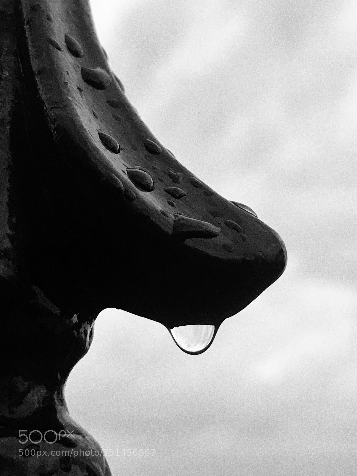 Apple iPhone 7 Plus sample photo. Droplet  photography