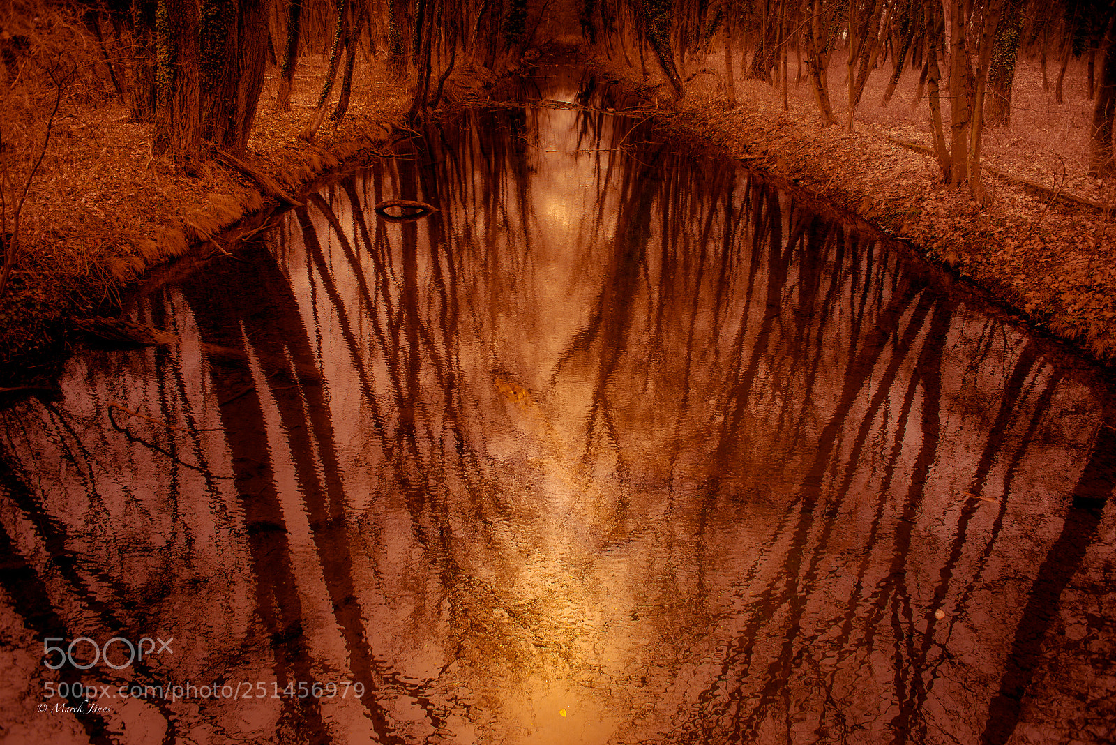 Nikon D800 sample photo. Magical stream photography