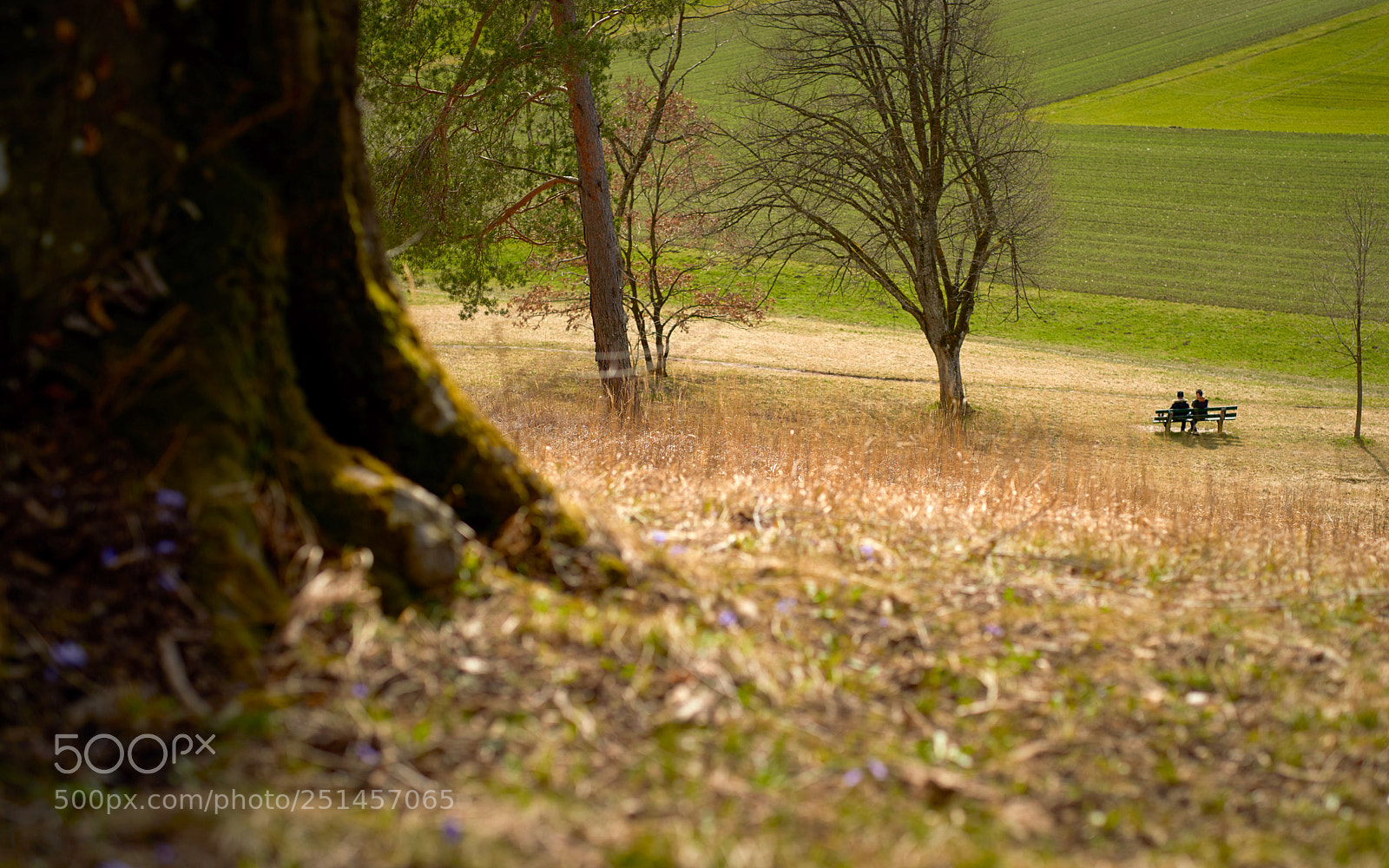Nikon D810 sample photo. Sunbath_2172 1.jpg photography