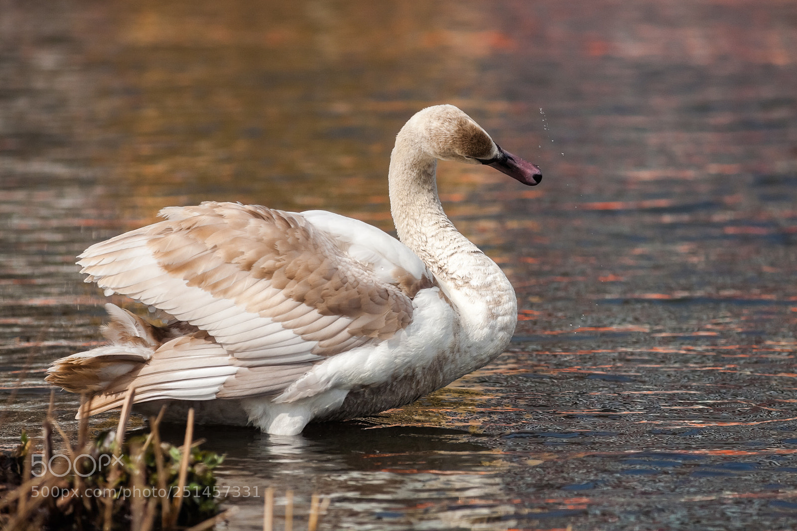 Canon EOS 5D sample photo. ~ photography