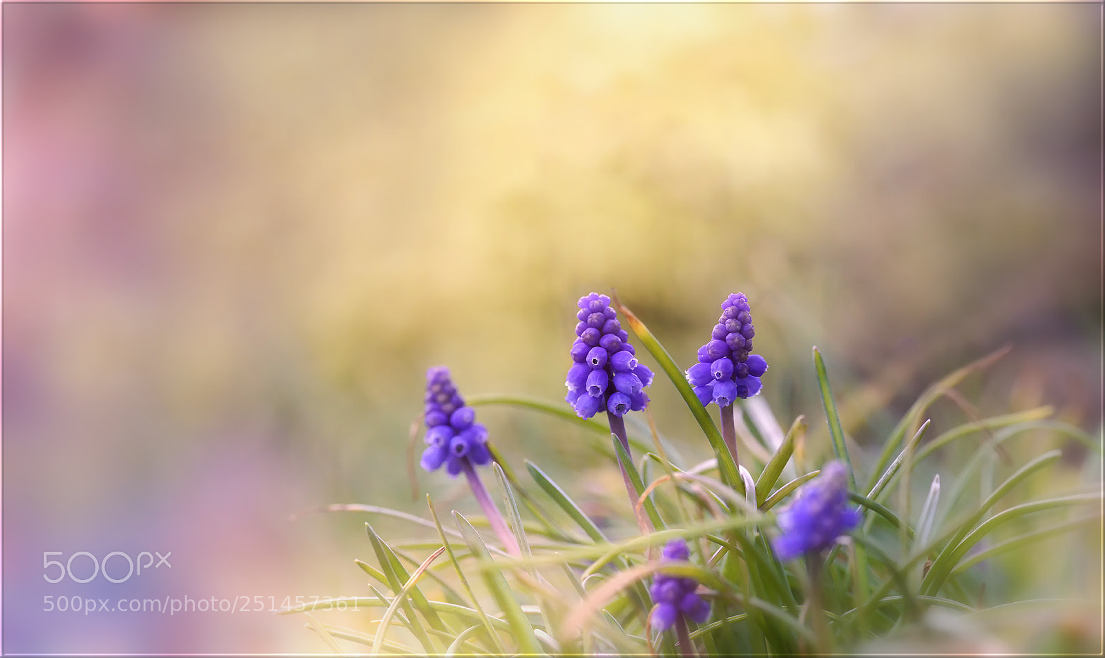 Sony a7R II sample photo. Frisch von gestern ... photography