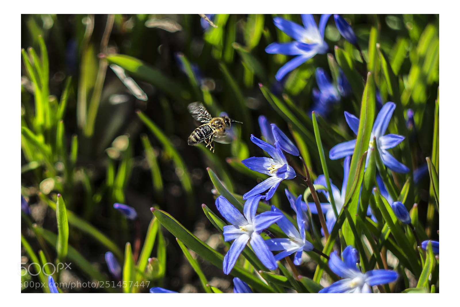 Nikon D7100 sample photo. Take me! photography