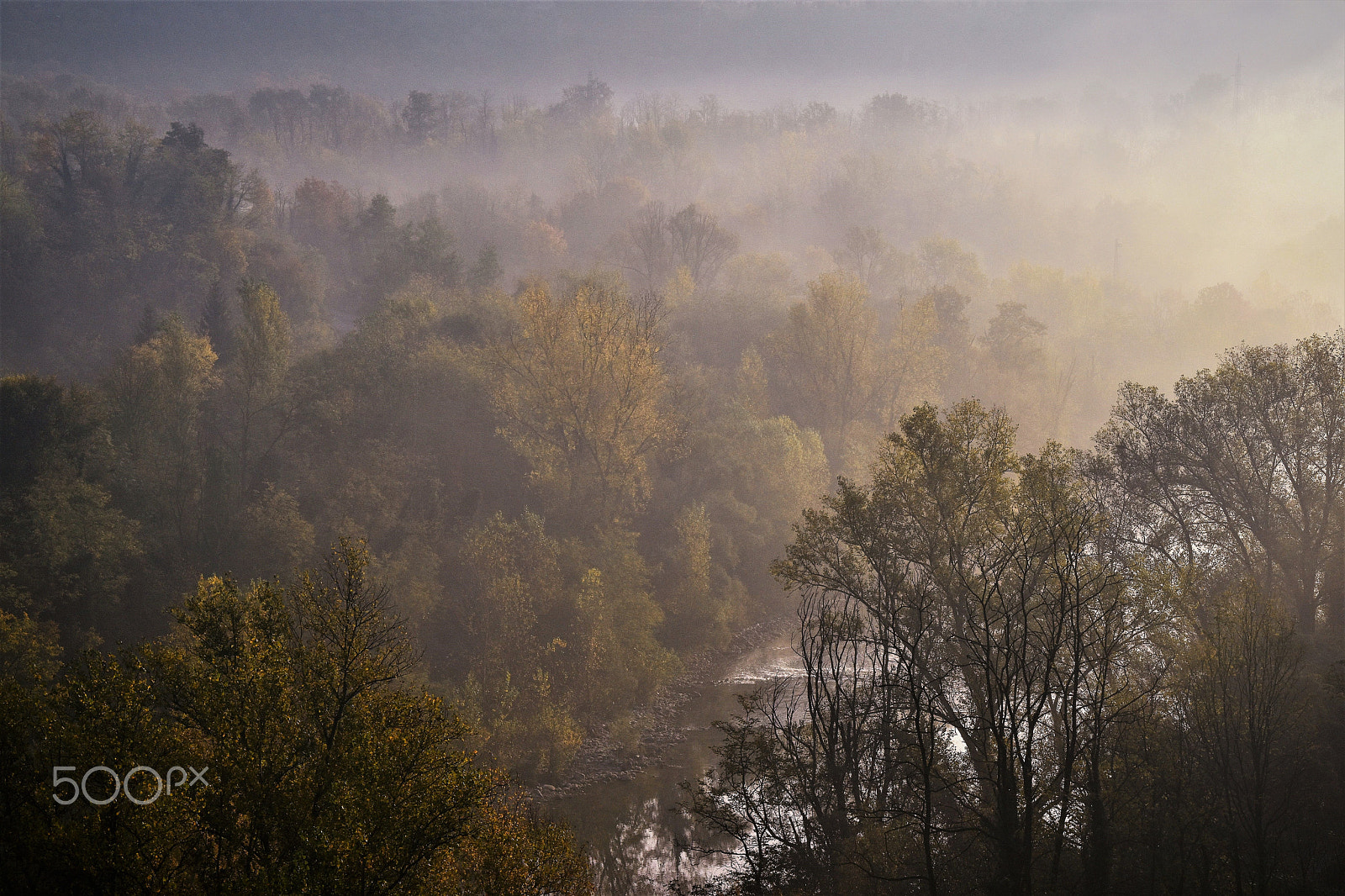 Nikon D5500 sample photo. Fading fog photography