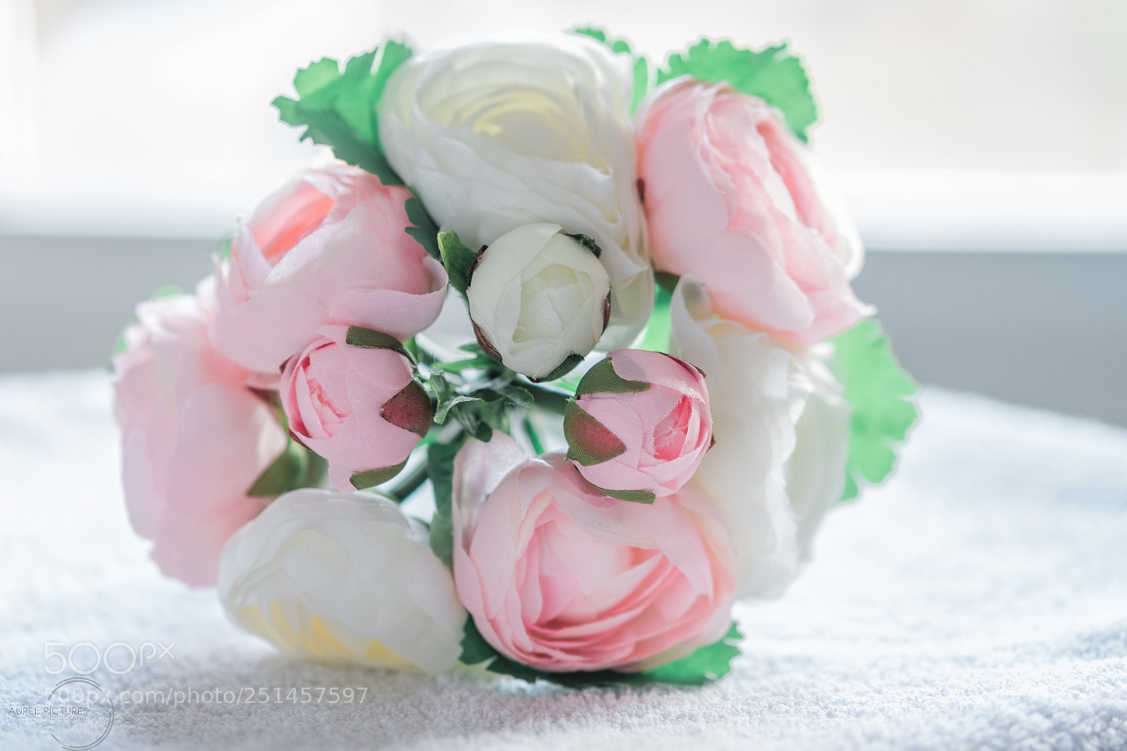 Fujifilm X-T20 sample photo. Rose photography