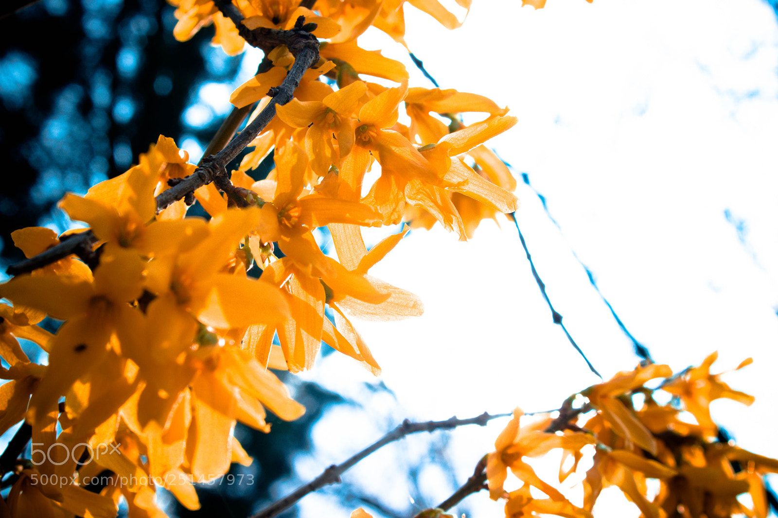 Canon EOS 80D sample photo. Sigurtà photography