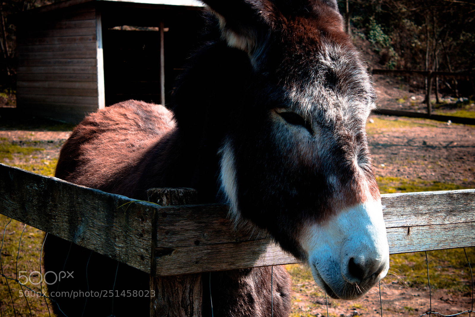 Canon EOS 80D sample photo. Sigurtà photography