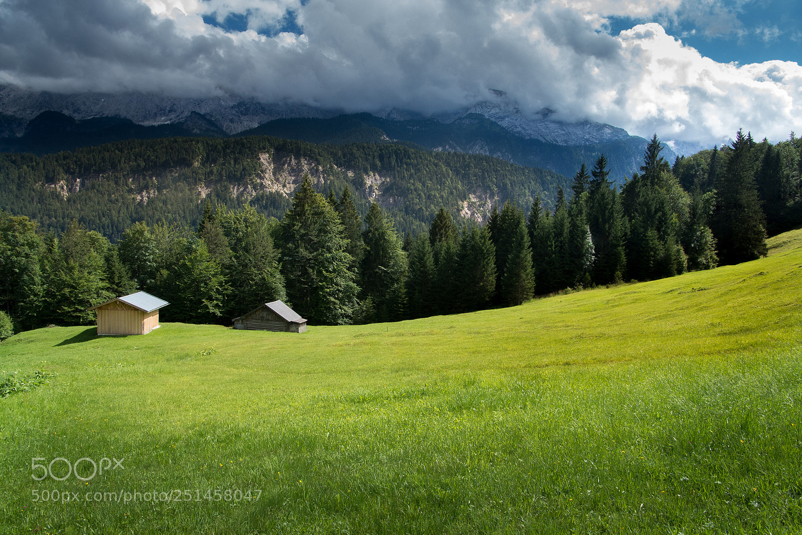 Pentax K-5 IIs sample photo. Sunny summer meadow photography