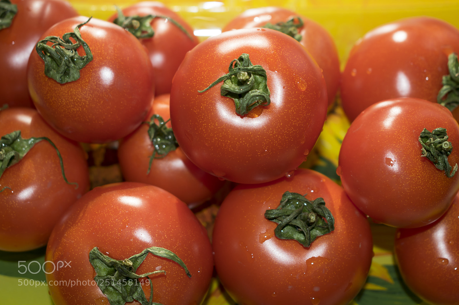 Nikon D5300 sample photo. Red tomatoes background photography