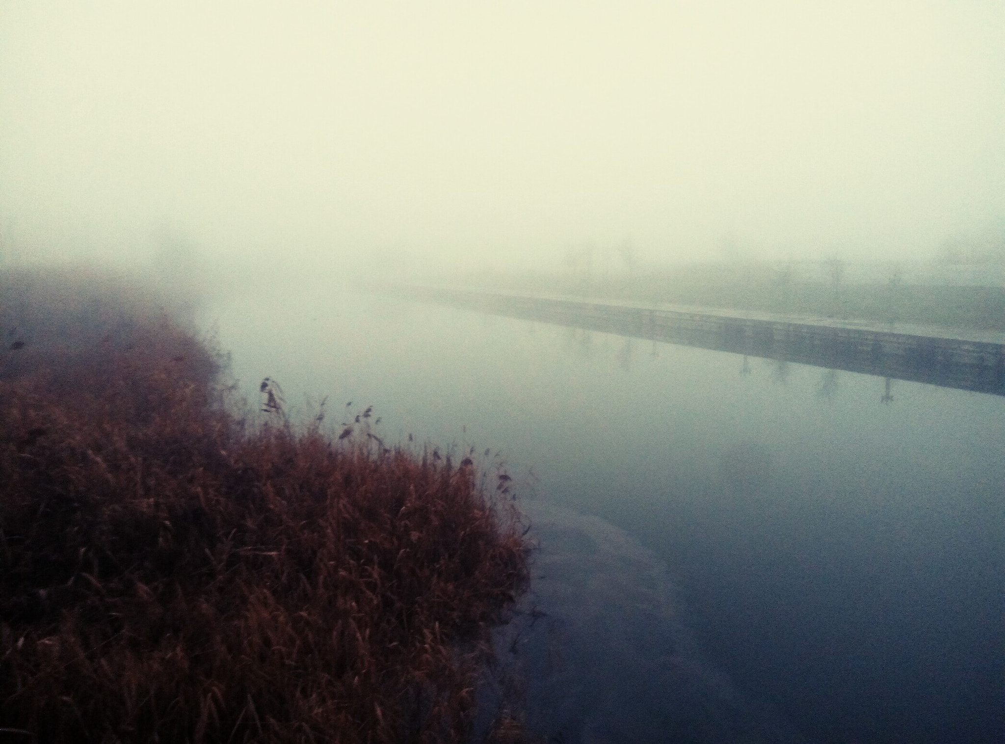 Meizu m2 sample photo