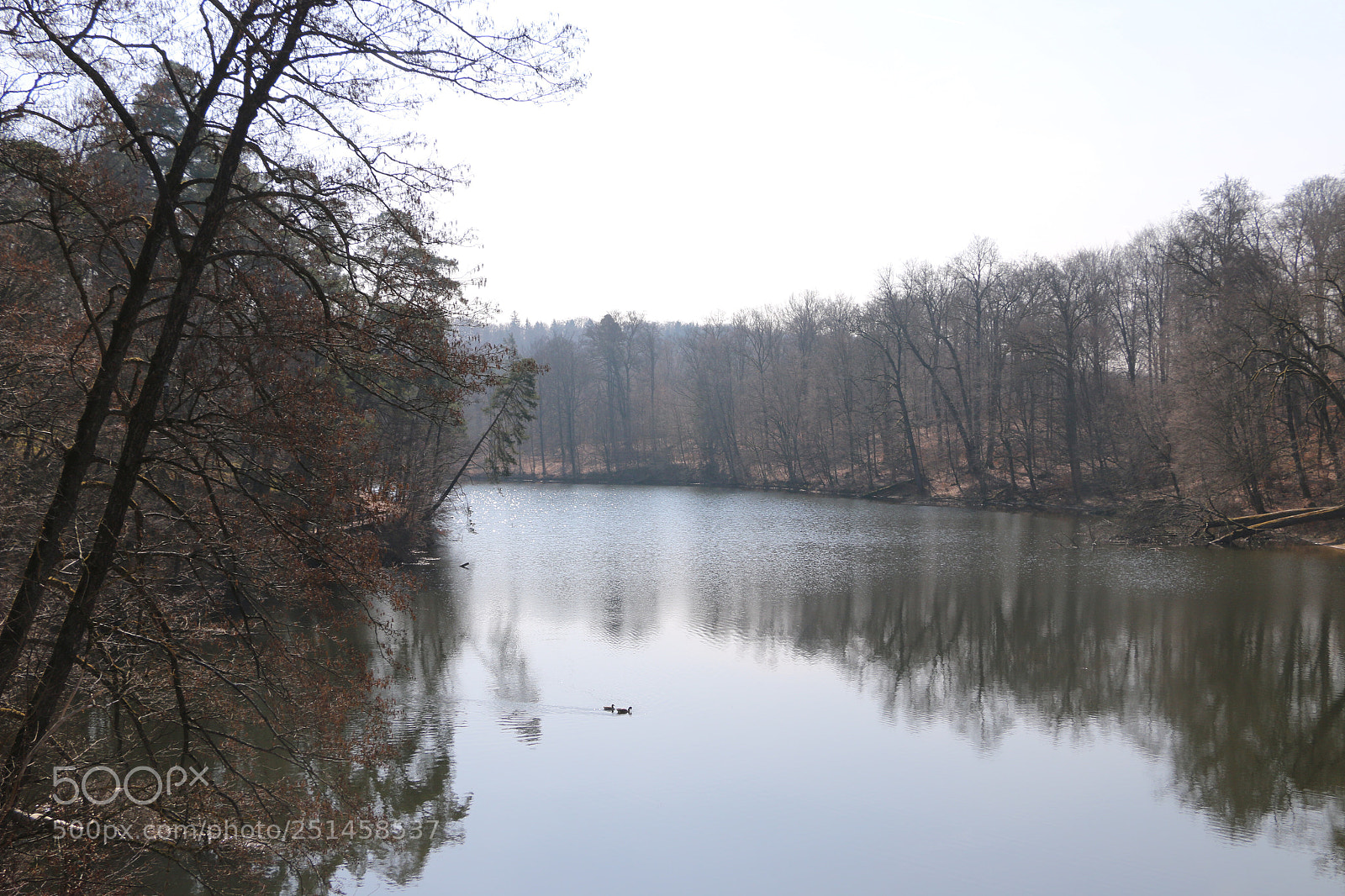 Canon EOS 70D sample photo. Untitled photography
