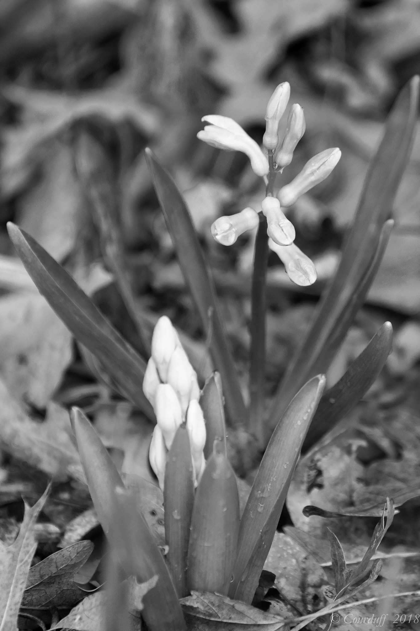 Nikon D7500 sample photo. Dxo photography