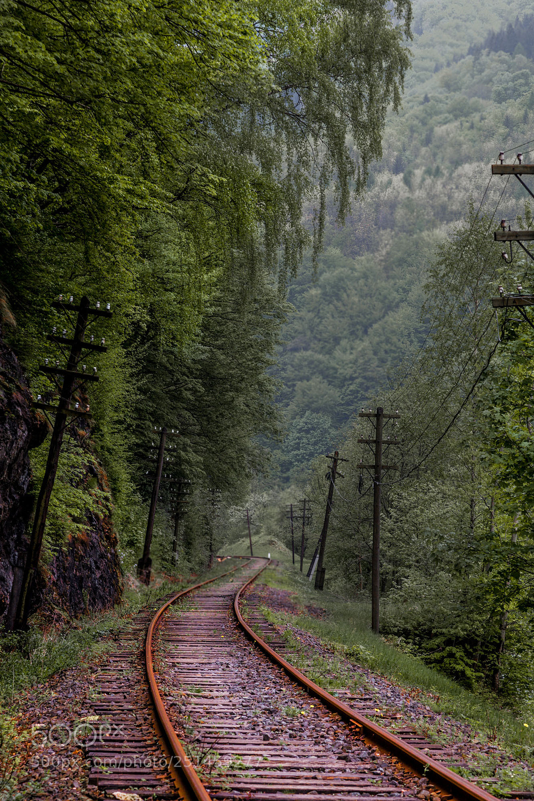 Canon EOS 5D Mark II sample photo. Abandoned railroad. photography