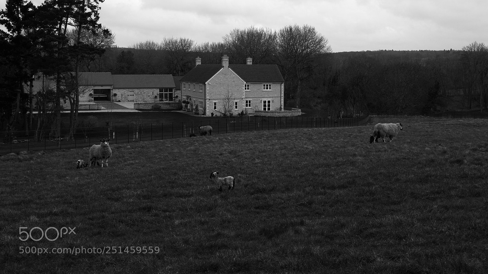 Panasonic Lumix DMC-GX7 sample photo. Abandoned number 9 photography