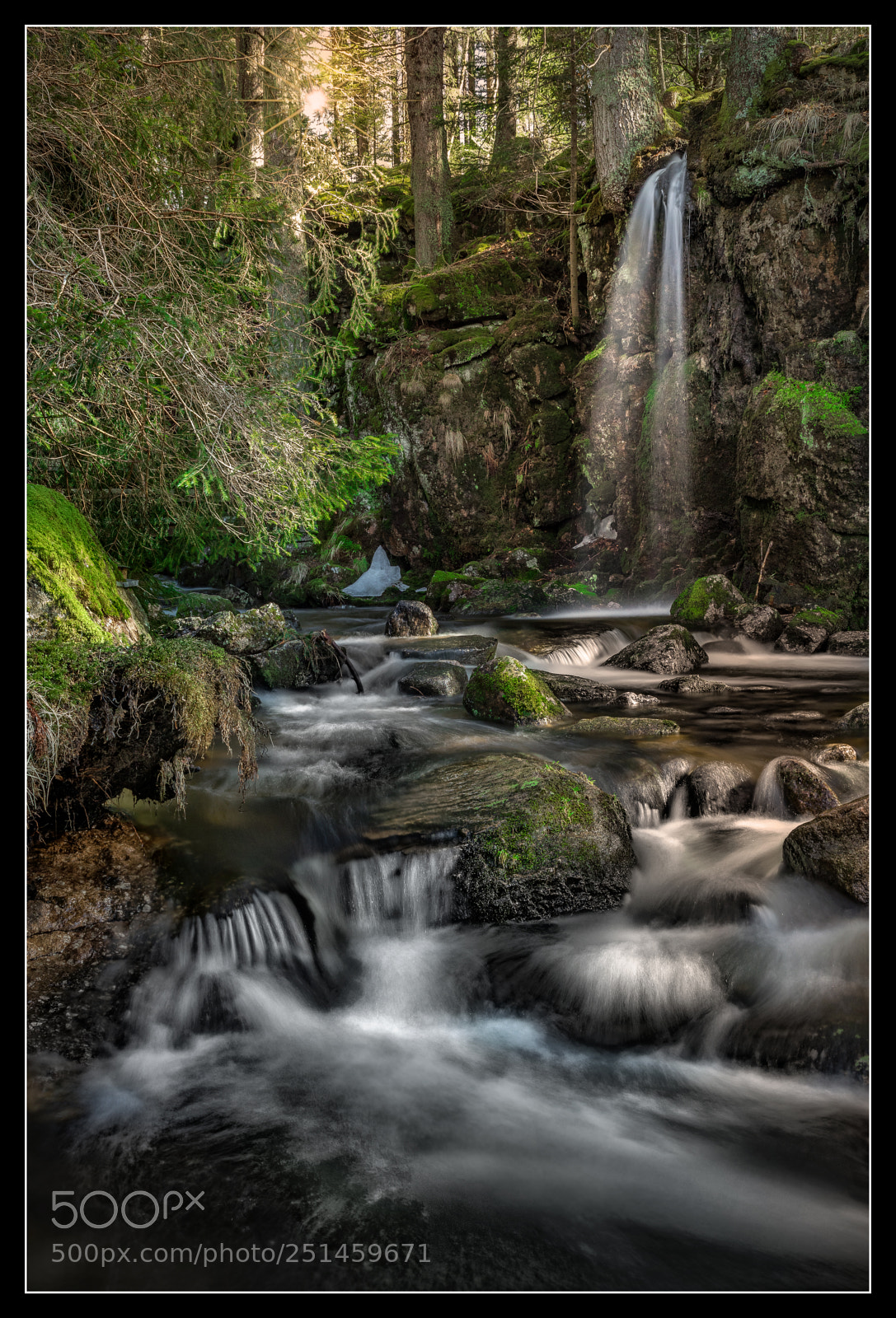 Canon EOS 5D Mark IV sample photo. Black forest photography