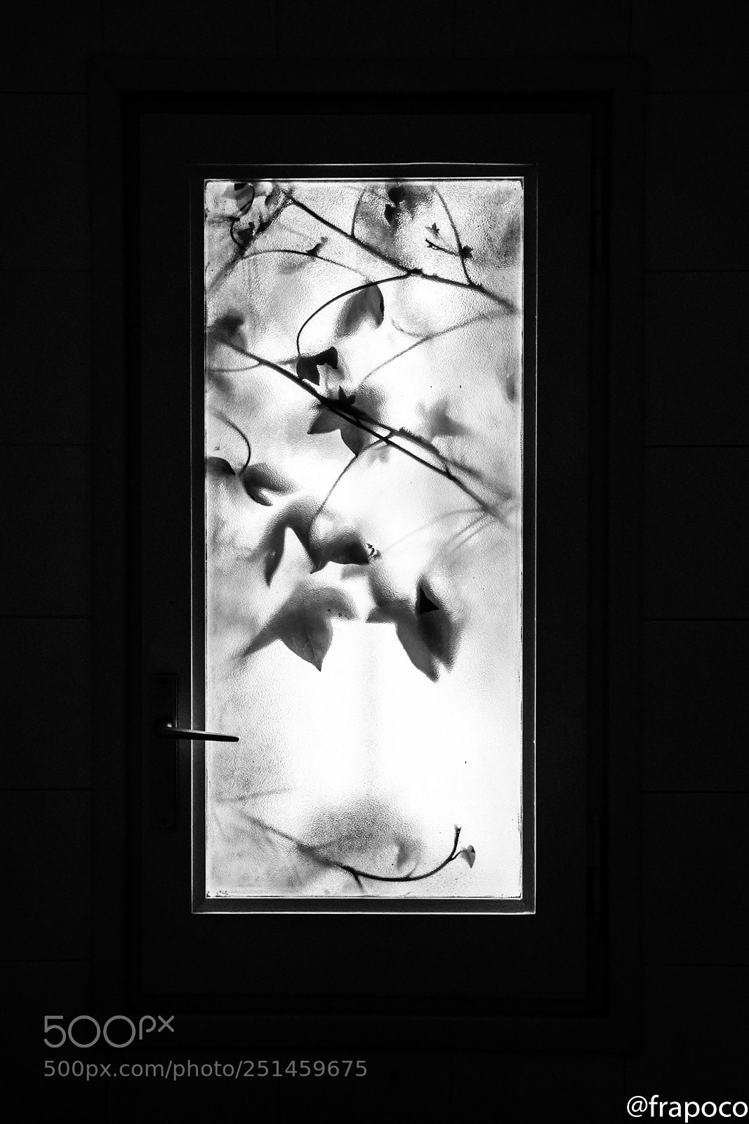 Nikon D7200 sample photo. B&w: window photography