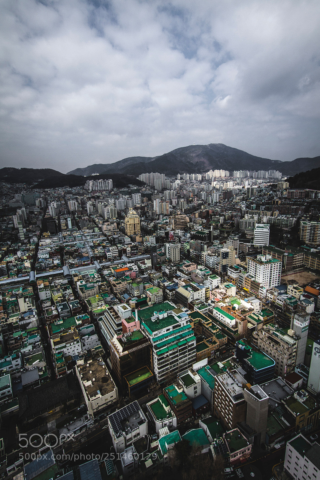 Canon EOS 7D sample photo. Busan tower view photography