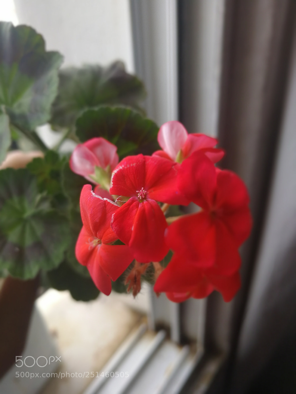 HUAWEI Mate 9 sample photo. Untitled photography