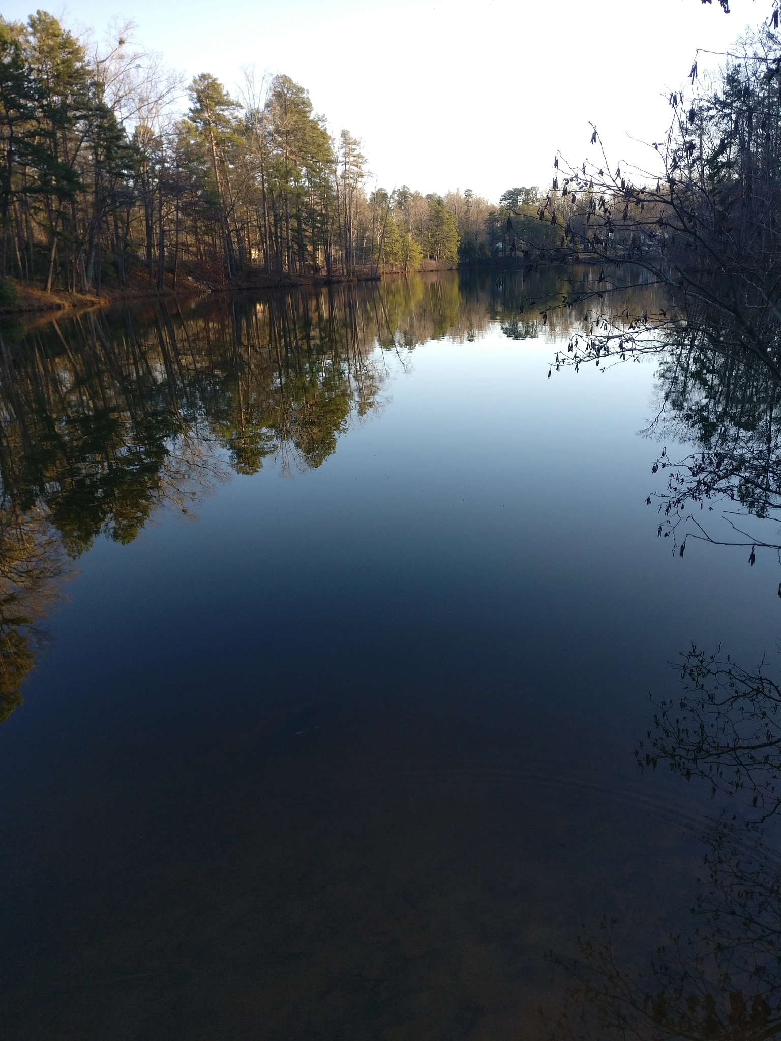 OnePlus A3000 sample photo. Tranquil photography