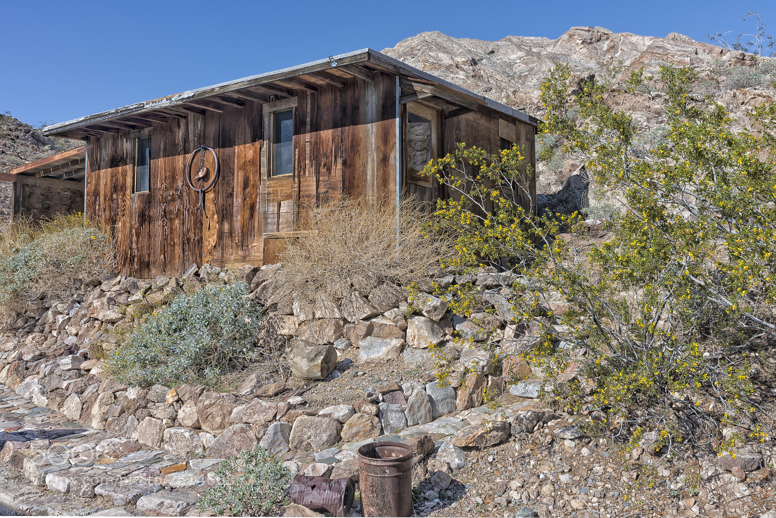 Nikon D800 sample photo. Riggs cabin photography