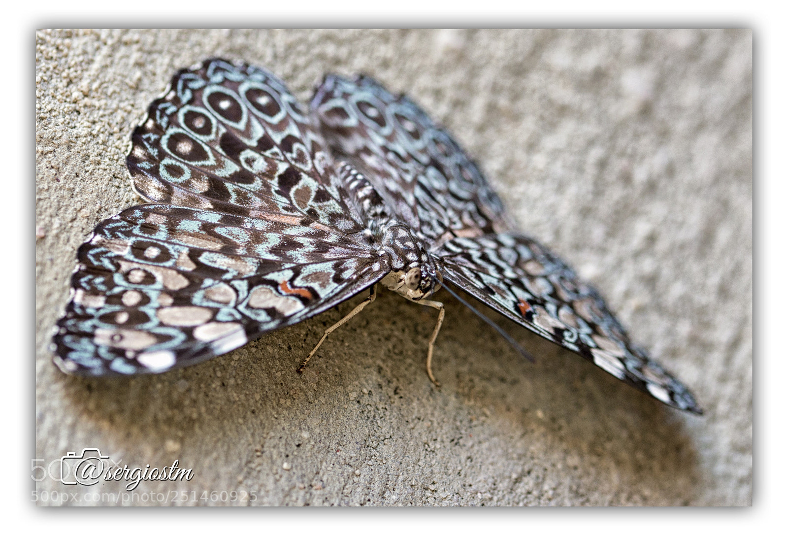 Nikon D610 sample photo. Colors photography