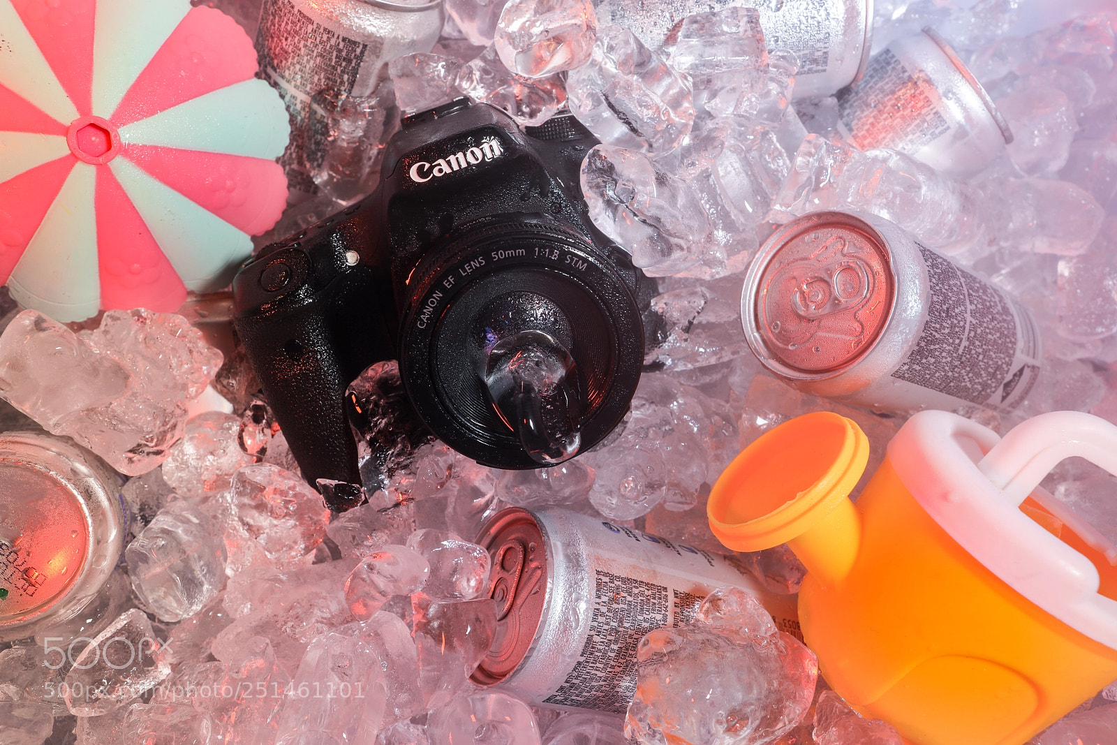 Canon EOS 5D Mark IV sample photo. Summer time shooter photography
