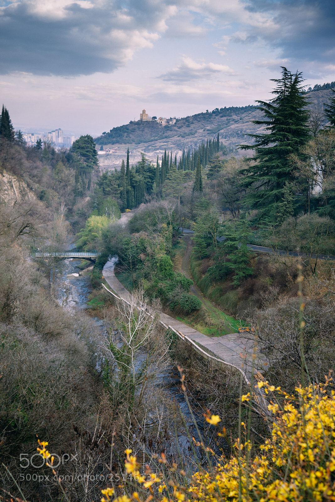 Panasonic Lumix DMC-GX7 sample photo. Tbilisi - botanical gardens photography