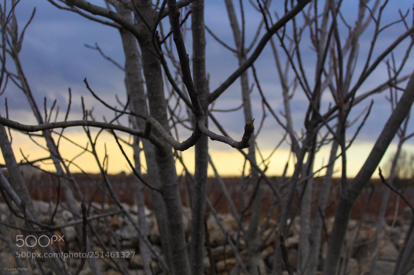 Canon EOS 700D (EOS Rebel T5i / EOS Kiss X7i) sample photo. Italy sunset  photography