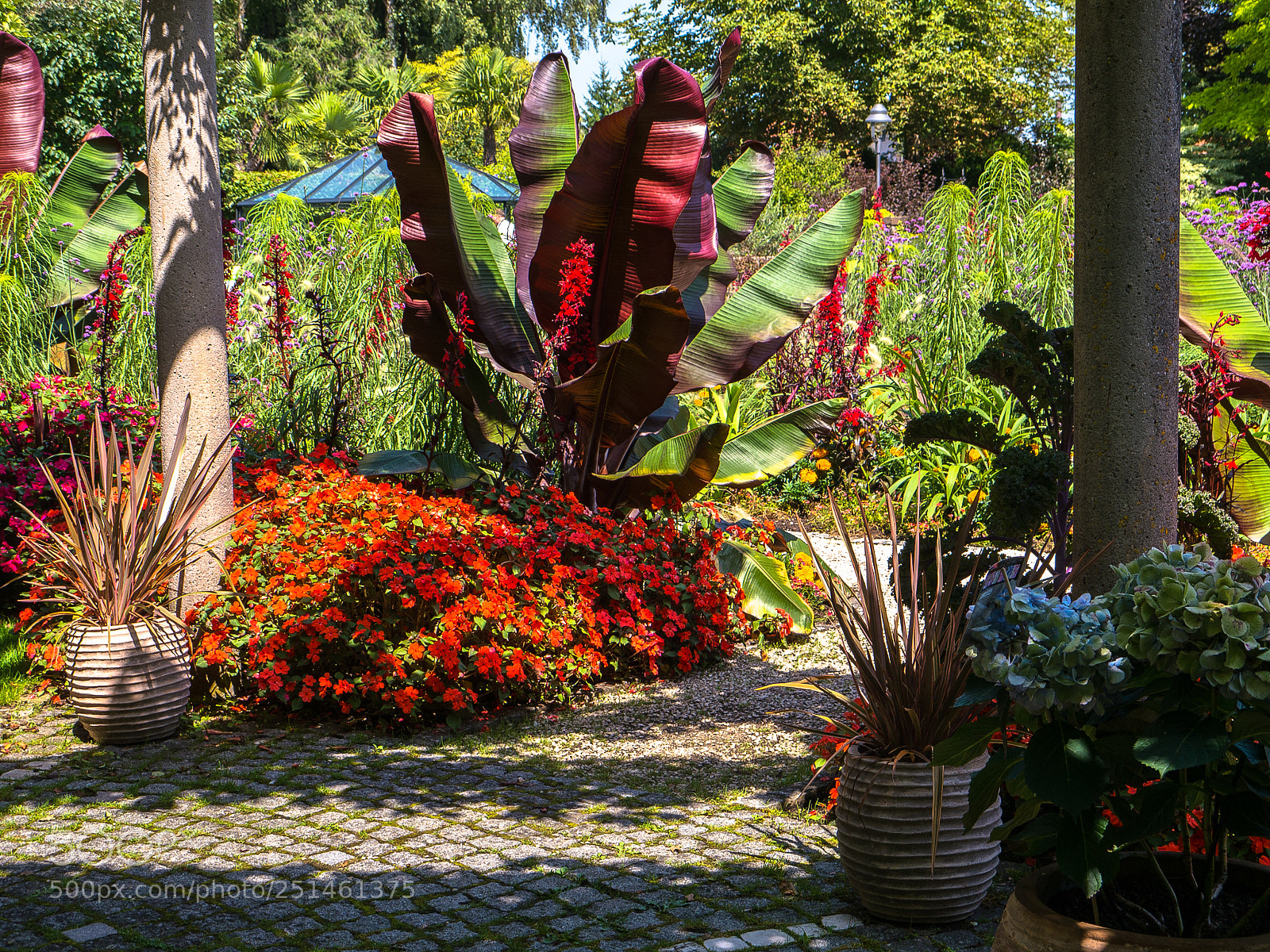 Panasonic Lumix DMC-G5 sample photo. Dehner blumenpark photography