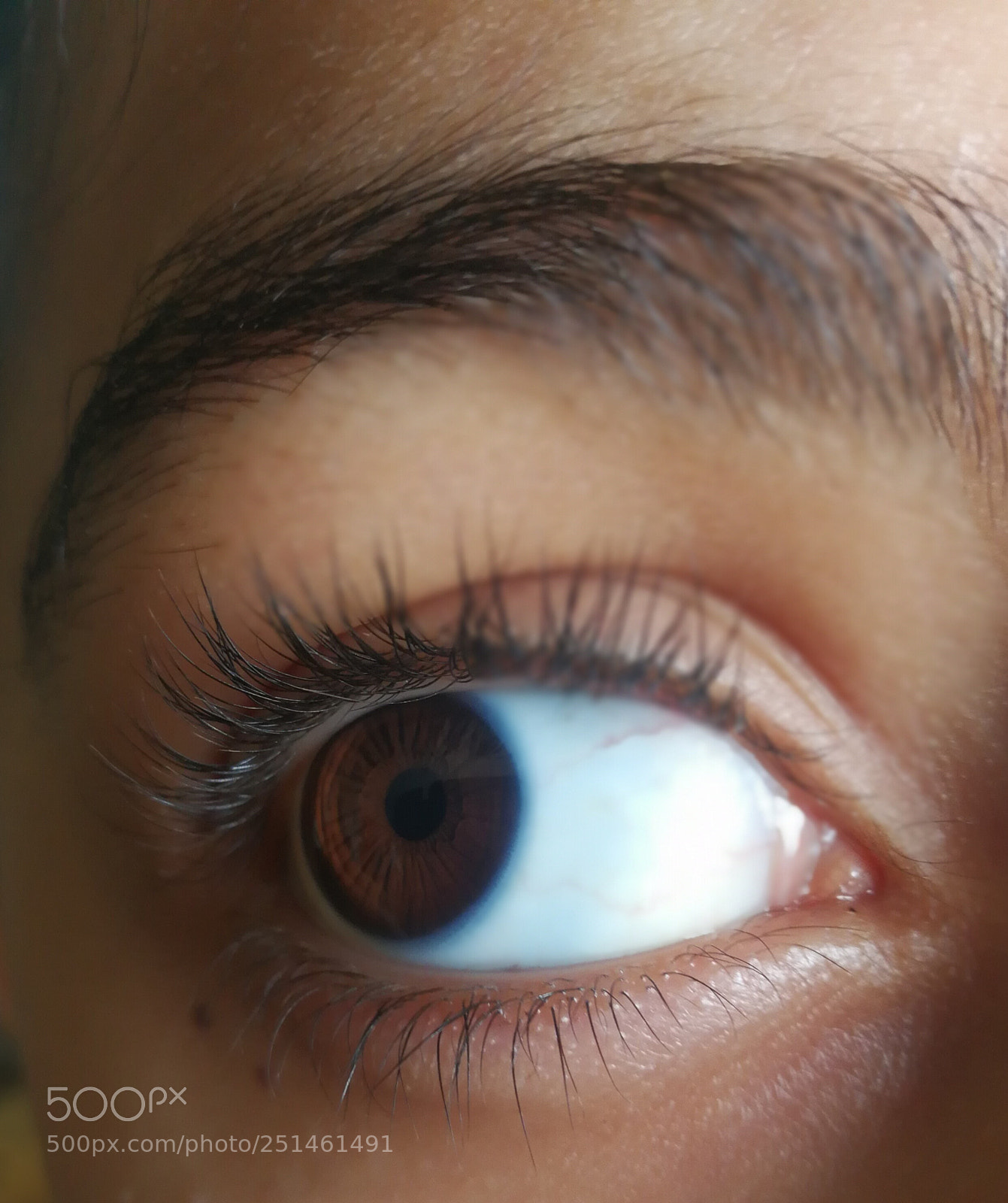 HUAWEI Mate 9 sample photo. Untitled photography