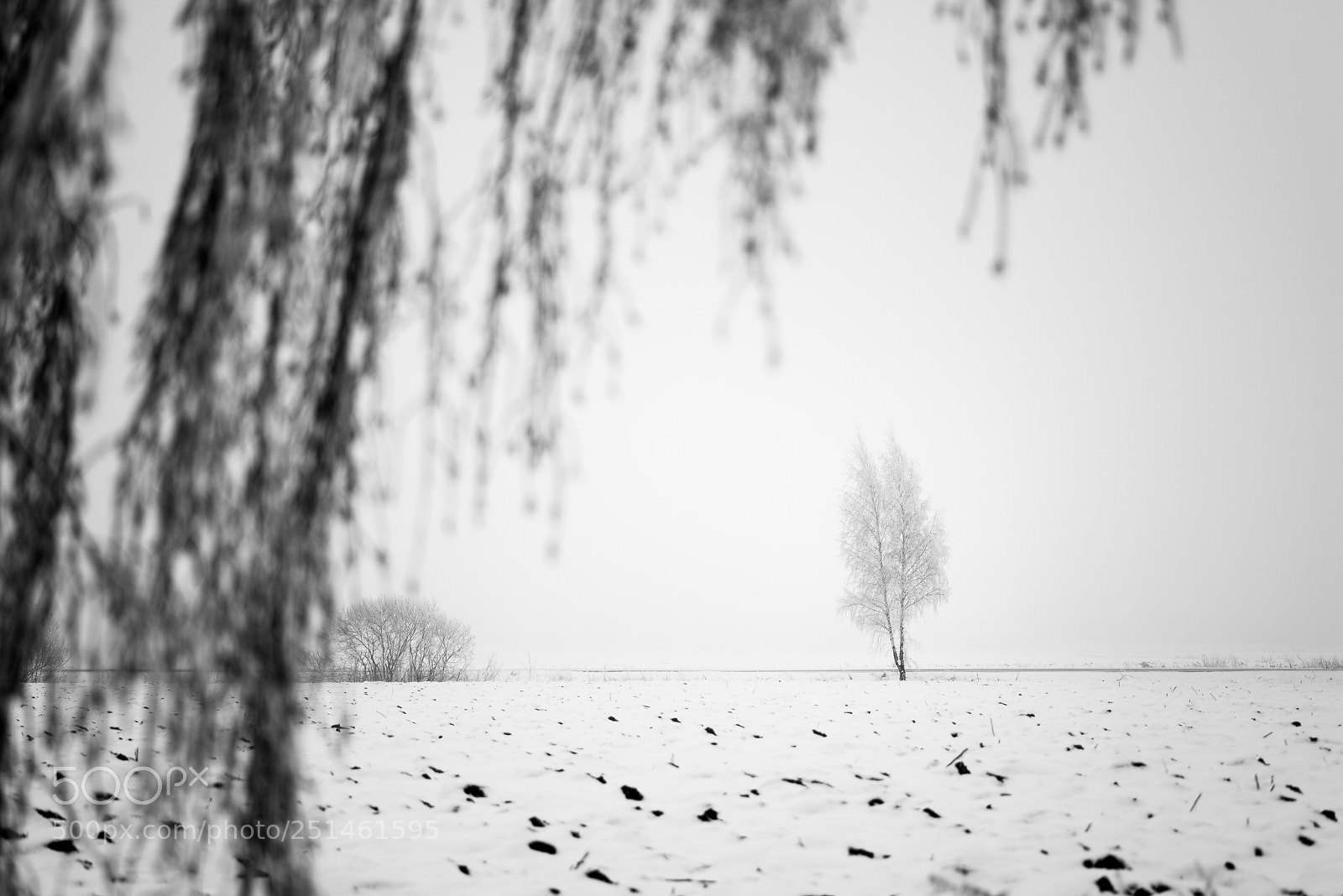 Nikon D800 sample photo. Winter in ledowo photography